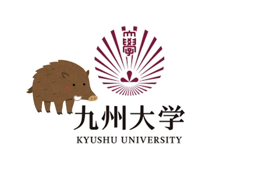 九州大学面试(机械工)